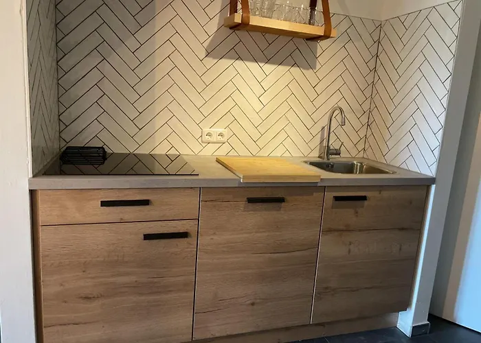 Holiday home Gezellig Authentiek 4 Persoons Vlakbij Valkenburg *